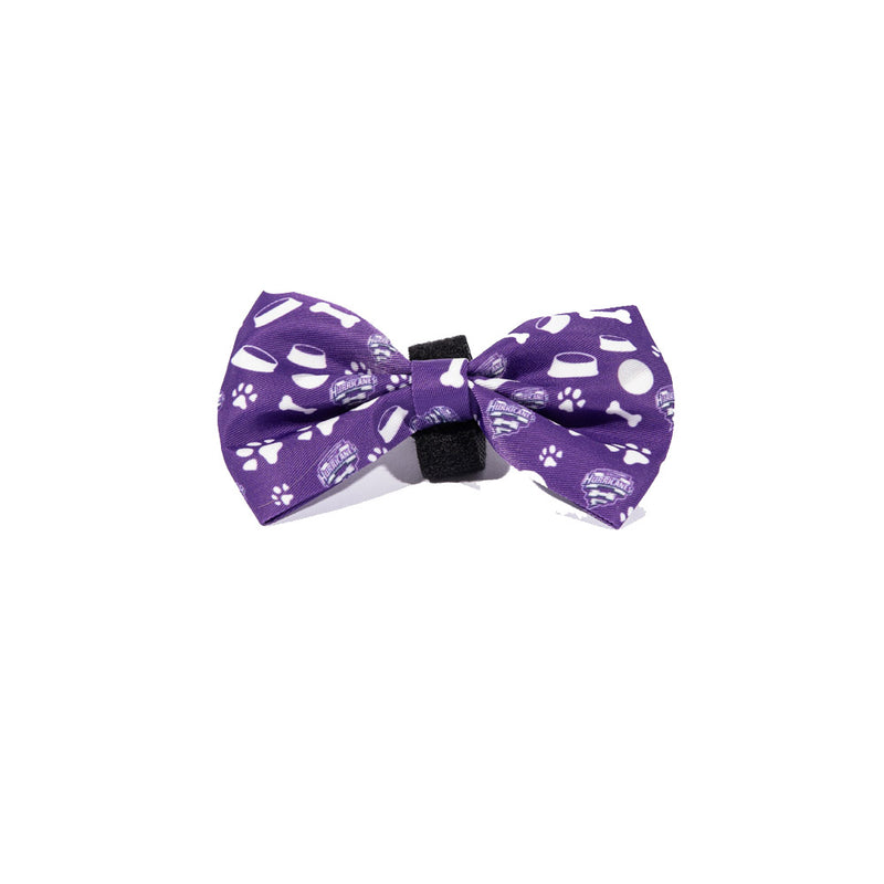 BBL Dog Bowtie