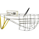 Hocico de perros de Greyhound