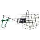 Hocico de perros de Greyhound