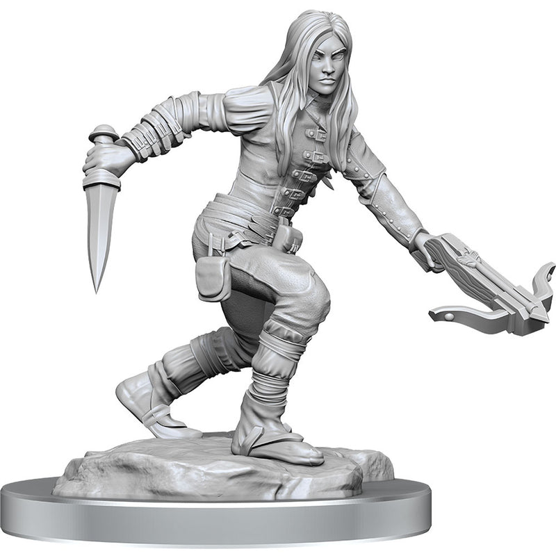 D&D Nolzurs Marvelous Elf Rogue Miniatura