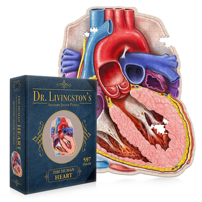 Puzzle de rompecabezas de anatomía del Dr. Livingston