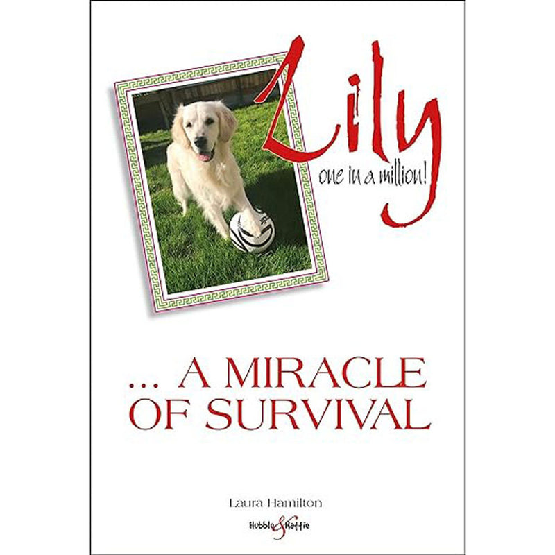 Lily One in a Million A Miracle of Survival by L Hamilton