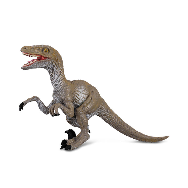  Figura de dinosaurio Velociraptor de CollectA