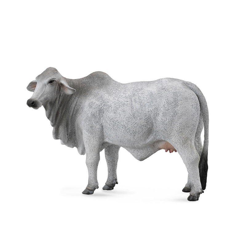  Figura de vaca Brahman de CollectA (grande)
