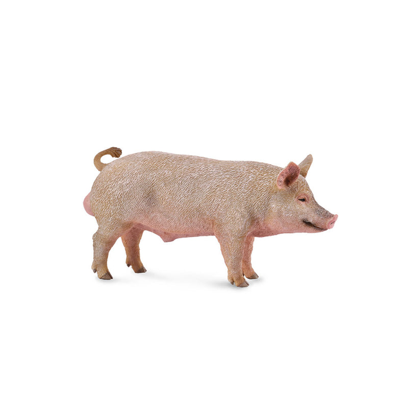  Figura CollectA Pig (mediana)