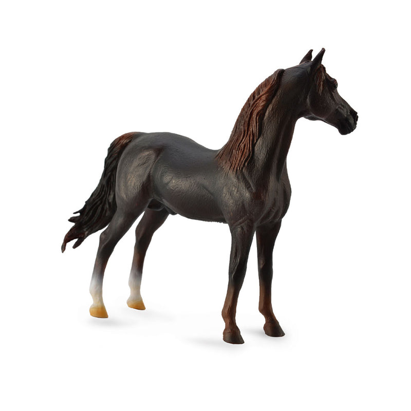  Figura CollectA Morgan Stallion (extra grande)