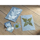  Kit de ciencia y manualidades