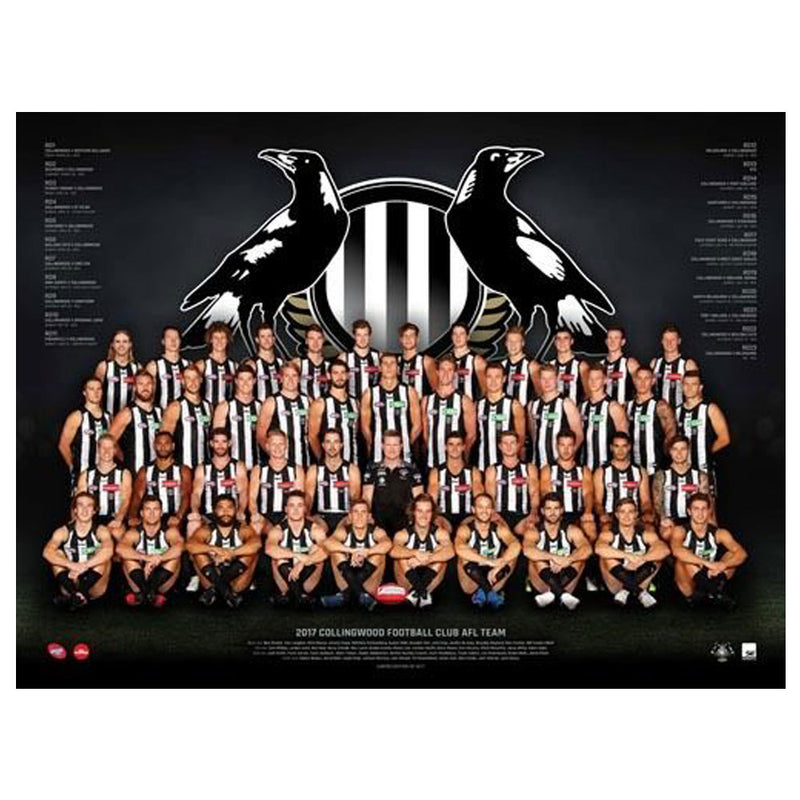  Equipo AFL 2017 Póster