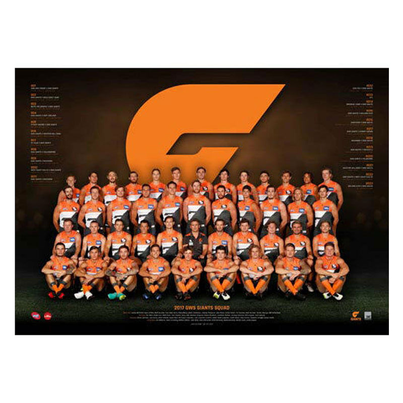  Equipo AFL 2017 Póster