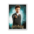  Dragon Shield Matte Art Fundas Caja de 100